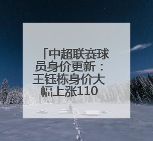 中超联赛球员身价更新：王钰栋身价大幅上涨110万欧元