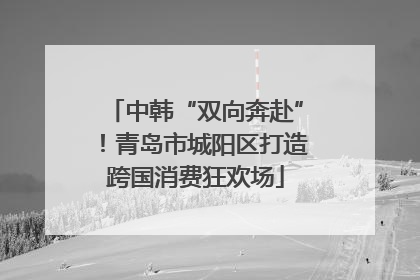 中韩“双向奔赴”！青岛市城阳区打造跨国消费狂欢场
