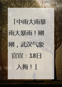 中雨大雨暴雨大暴雨！刚刚，武汉气象官宣：18日入梅！