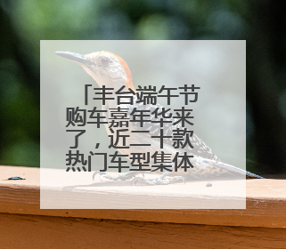 丰台端午节购车嘉年华来了，近二十款热门车型集体亮相