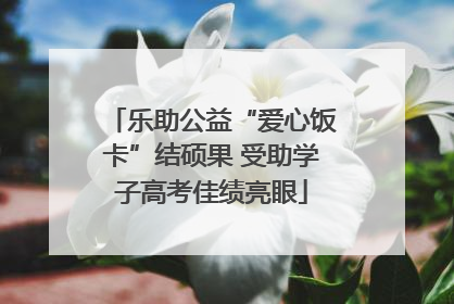 乐助公益“爱心饭卡”结硕果 受助学子高考佳绩亮眼