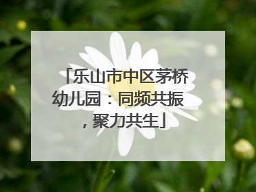 乐山市中区茅桥幼儿园：同频共振，聚力共生