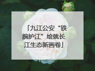 九江公安“铁腕护江”绘就长江生态新画卷