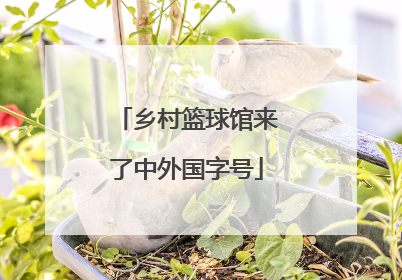 乡村篮球馆来了中外国字号