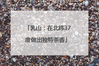 乳山：在北纬37度做出独特茶香