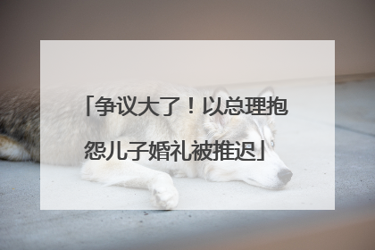 争议大了！以总理抱怨儿子婚礼被推迟