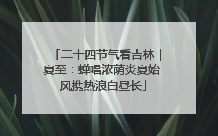 二十四节气看吉林｜夏至：蝉唱浓荫炎夏始 风携热浪白昼长