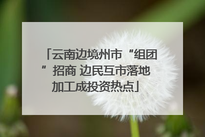 云南边境州市“组团”招商 边民互市落地加工成投资热点