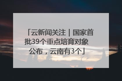 云新闻关注｜国家首批39个重点培育对象公布，云南有3个