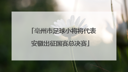 亳州市足球小将将代表安徽出征国赛总决赛