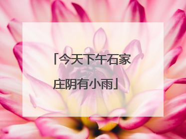 今天下午石家庄阴有小雨