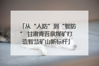 从“人防”到“智防” 甘肃青苔泉煤矿打造智慧矿山新标杆