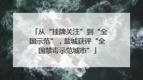 从“挂牌关注”到“全国示范”，盐城获评“全国禁毒示范城市”