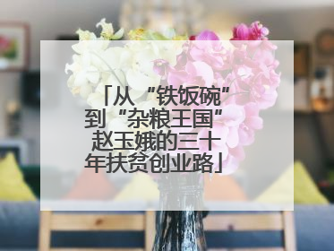从“铁饭碗”到“杂粮王国” 赵玉娥的三十年扶贫创业路
