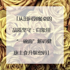 从田间到餐桌的品质坚守：白象用“一碗面”解码健康主食升级密码