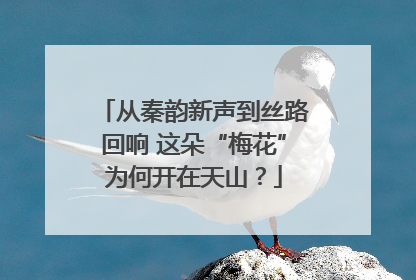 从秦韵新声到丝路回响 这朵“梅花”为何开在天山？