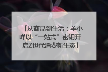 从商品到生活：羊小咩以“一站式”密钥开启Z世代消费新生态