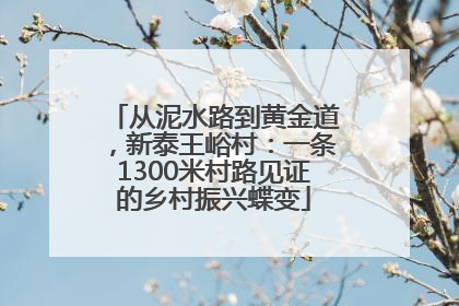 从泥水路到黄金道，新泰王峪村：一条1300米村路见证的乡村振兴蝶变