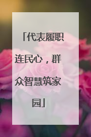 代表履职连民心，群众智慧筑家园