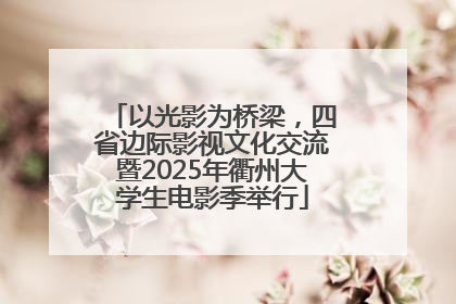 以光影为桥梁，四省边际影视文化交流暨2025年衢州大学生电影季举行