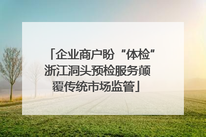 企业商户盼“体检” 浙江洞头预检服务颠覆传统市场监管