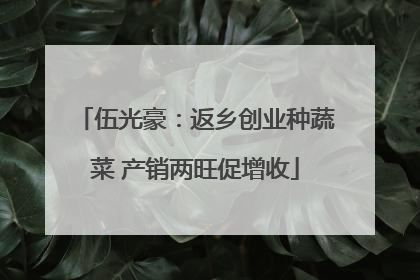 伍光豪：返乡创业种蔬菜 产销两旺促增收