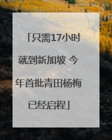 只需17小时就到新加坡 今年首批青田杨梅已经启程