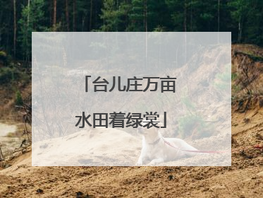 台儿庄万亩水田着绿裳