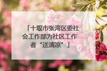 十堰市张湾区委社会工作部为社区工作者“送清凉”
