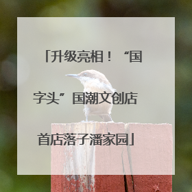升级亮相！“国字头”国潮文创店首店落子潘家园