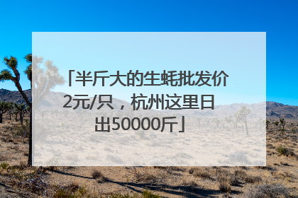 半斤大的生蚝批发价2元/只，杭州这里日出50000斤