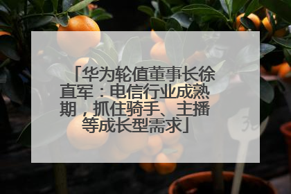 华为轮值董事长徐直军：电信行业成熟期，抓住骑手、主播等成长型需求