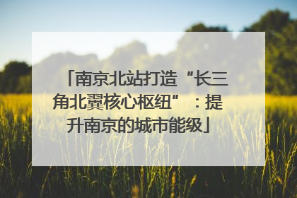 南京北站打造“长三角北翼核心枢纽”：提升南京的城市能级