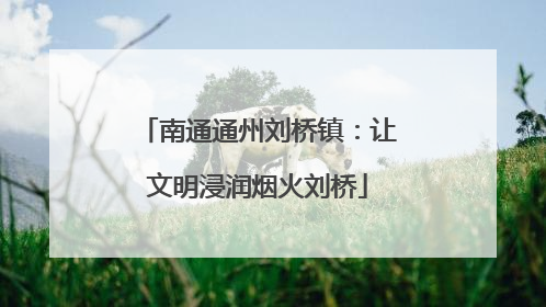 南通通州刘桥镇：让文明浸润烟火刘桥