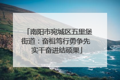 南阳市宛城区五里堡街道：奋楫笃行勇争先 实干奋进结硕果