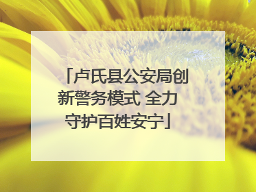 卢氏县公安局创新警务模式 全力守护百姓安宁