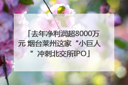 去年净利润超8000万元 烟台莱州这家“小巨人”冲刺北交所IPO