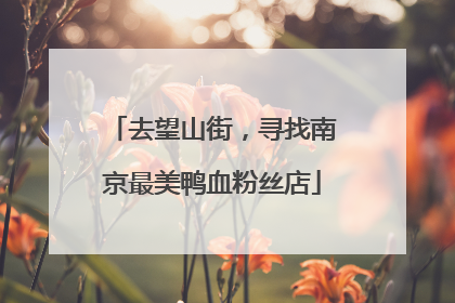 去望山街，寻找南京最美鸭血粉丝店