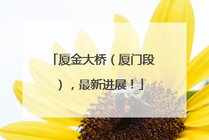 厦金大桥（厦门段），最新进展！