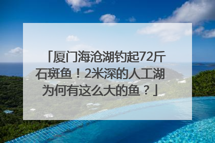 厦门海沧湖钓起72斤石斑鱼！2米深的人工湖为何有这么大的鱼？