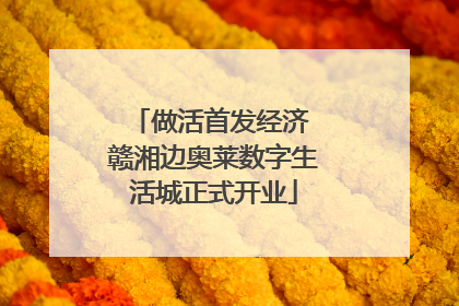 做活首发经济 赣湘边奥莱数字生活城正式开业