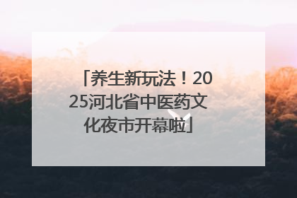 养生新玩法！2025河北省中医药文化夜市开幕啦