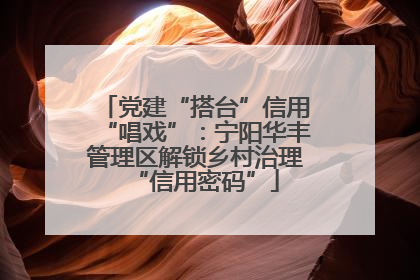 党建“搭台”信用“唱戏”：宁阳华丰管理区解锁乡村治理“信用密码”