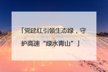 党建红引领生态绿，守护高速“绿水青山”