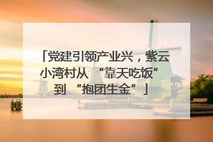 党建引领产业兴，紫云小湾村从 “靠天吃饭” 到 “抱团生金”