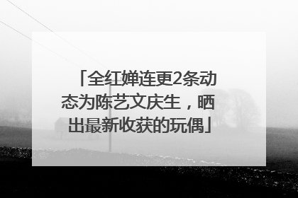 全红婵连更2条动态为陈艺文庆生，晒出最新收获的玩偶