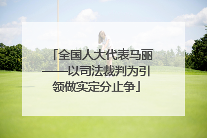 全国人大代表马丽——以司法裁判为引领做实定分止争