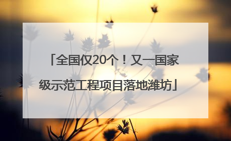 全国仅20个！又一国家级示范工程项目落地潍坊