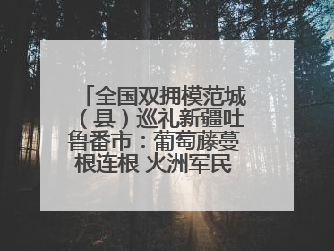 全国双拥模范城（县）巡礼新疆吐鲁番市：葡萄藤蔓根连根 火洲军民心连心