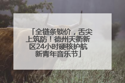 全链条锁价，舌尖上筑防！德州天衢新区24小时硬核护航新青年音乐节
